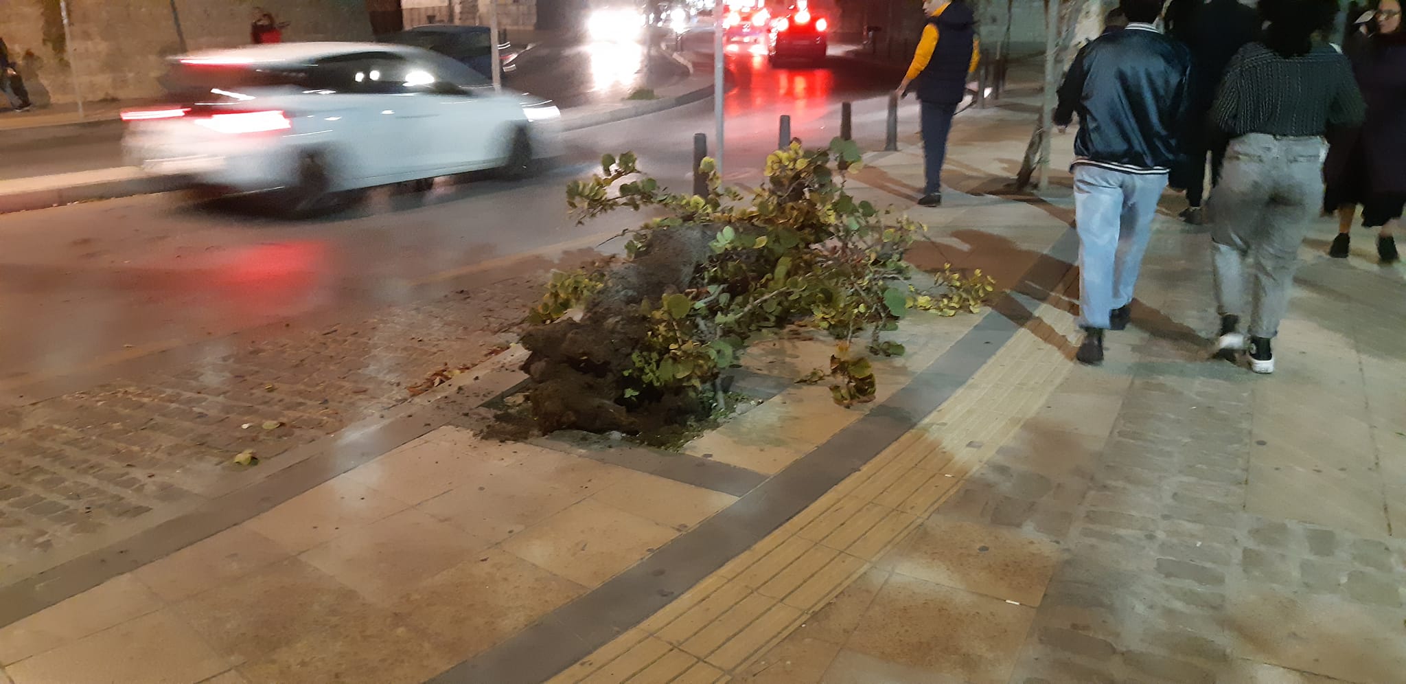 φωτογραφία Γιάννης Σκουλάς