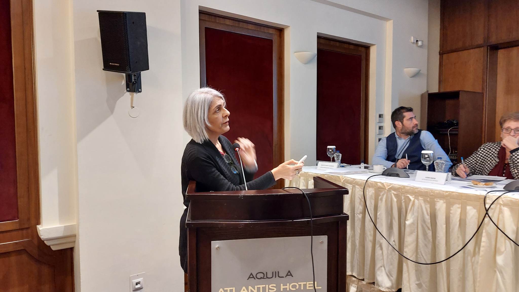 παλίγκρεμνο περιφερειακό συμβούλιο άδεια ΜΦΙΚ Δήμος Αγίου Βασιλείου Ταταράκης Μπάμπης Φασουλάς Φραντζή