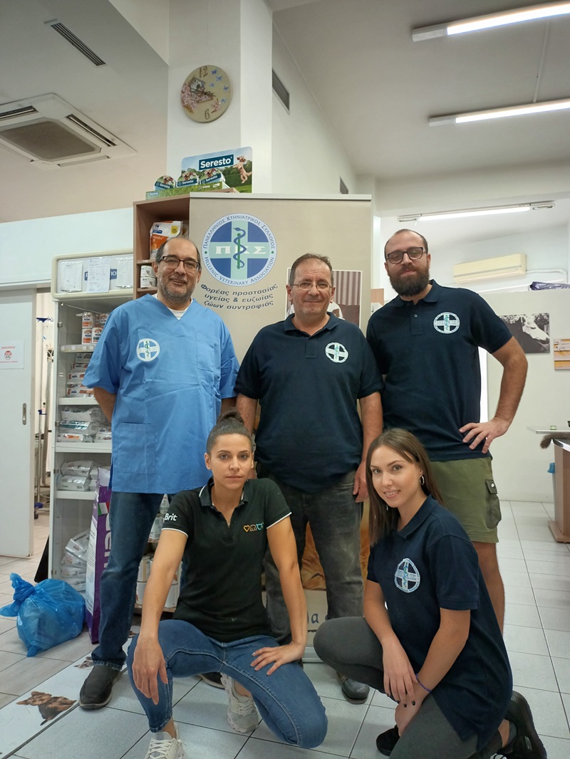 Οι αδέσποτες γάτες χρειάζονται τη βοήθεια μας