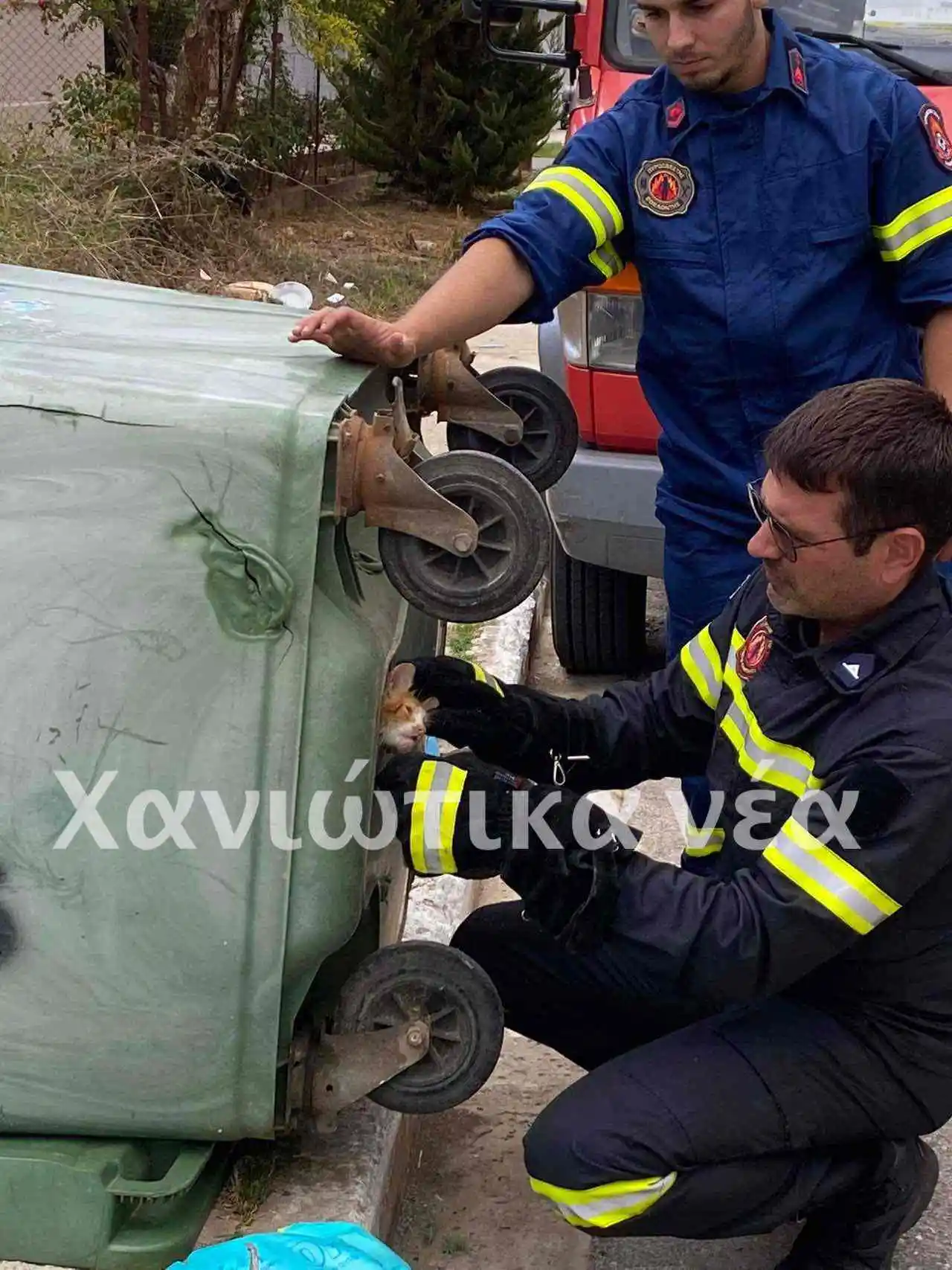 Σούδα γάτα απεγκλωβισμός