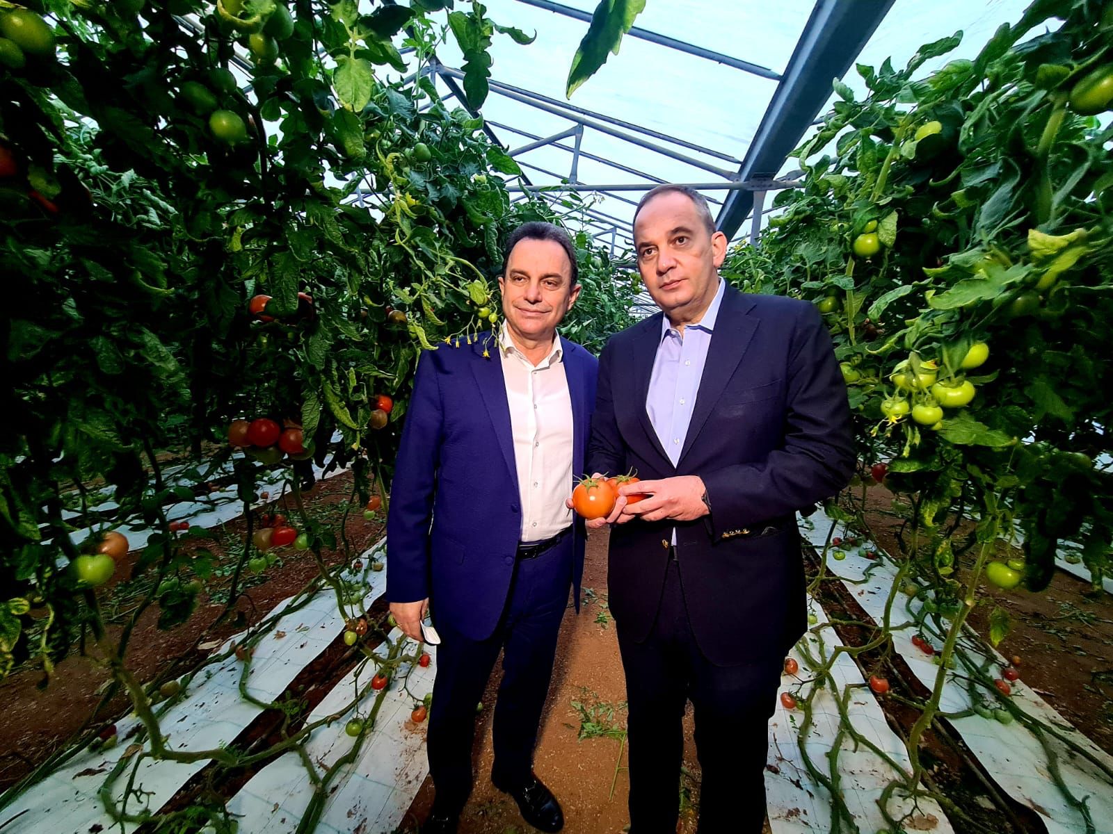 Γεωργαντάς Ιεράπετρα