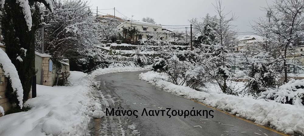 Γερακάρι Αμαρίου