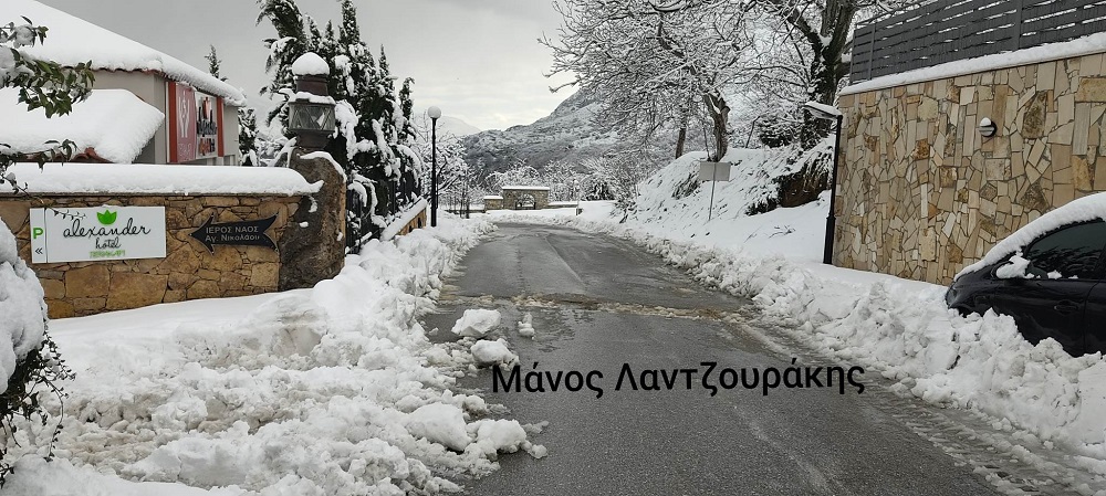 Γερακάρι Αμαρίου