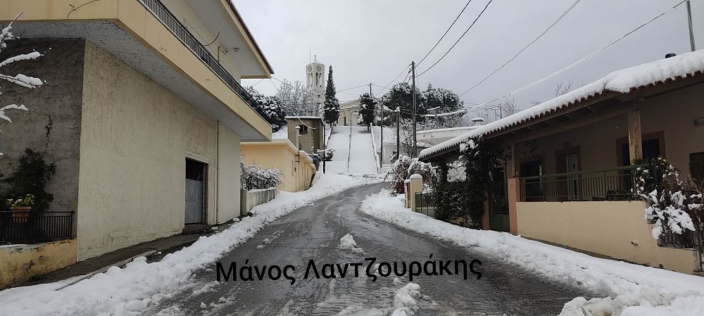 Γερακάρι Αμαρίου