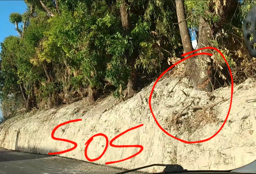 Άγιος Ιωάννης Χωστός