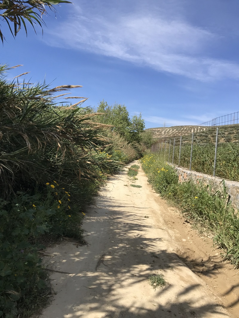 Φαράγγι Καρτερού