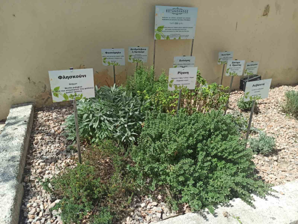 Ο Σύλλογος Διδασκόντων του 10ου ΓΕΛ Ηρακλείου ευχαριστεί...