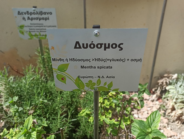 Ο Σύλλογος Διδασκόντων του 10ου ΓΕΛ Ηρακλείου ευχαριστεί...