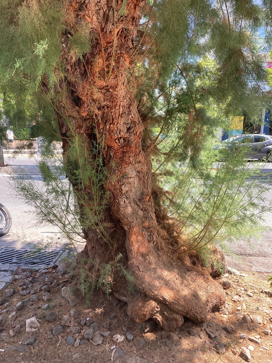 Λεωφόρος Δημοκρατίας