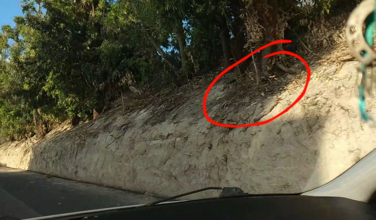 Άγιος Ιωάννης Χωστός