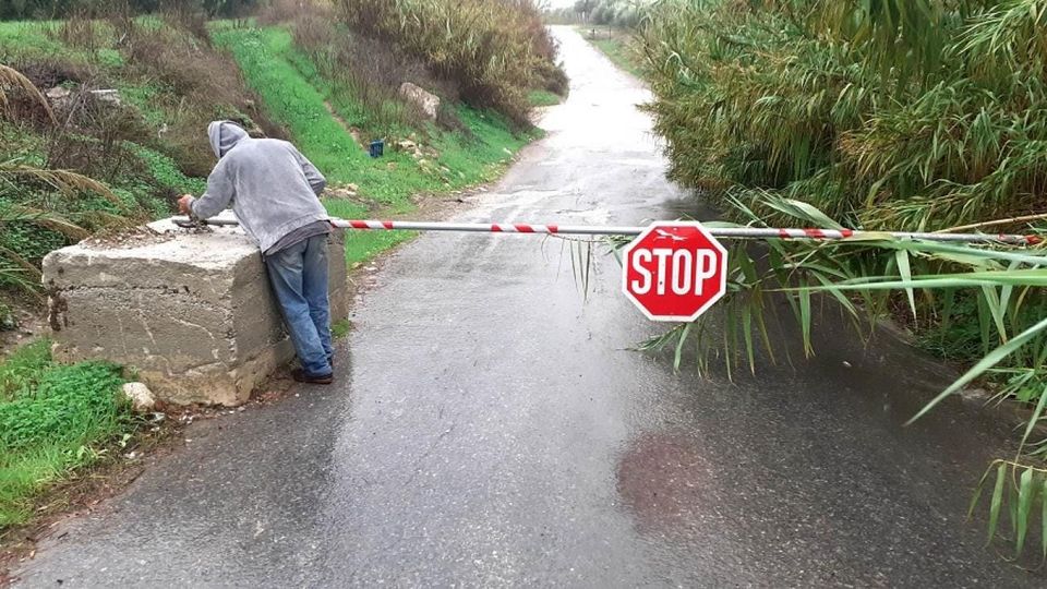 Ιρλανδικές διαβάσεις δήμος Φαιστού