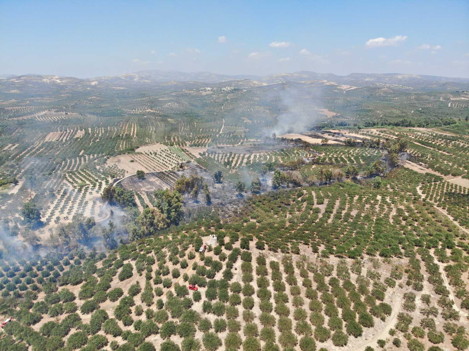 Φωτιά Καλύβια