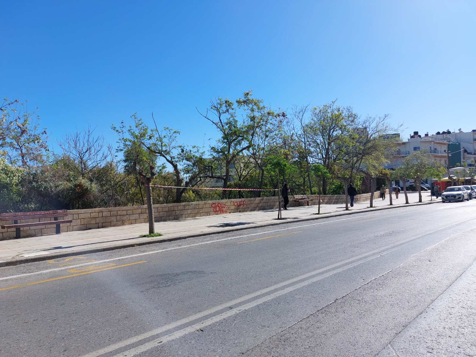 καλοκαιρινός φυτεύσεις δέντρα Ηράκλειο Γιαλιτάκηςα