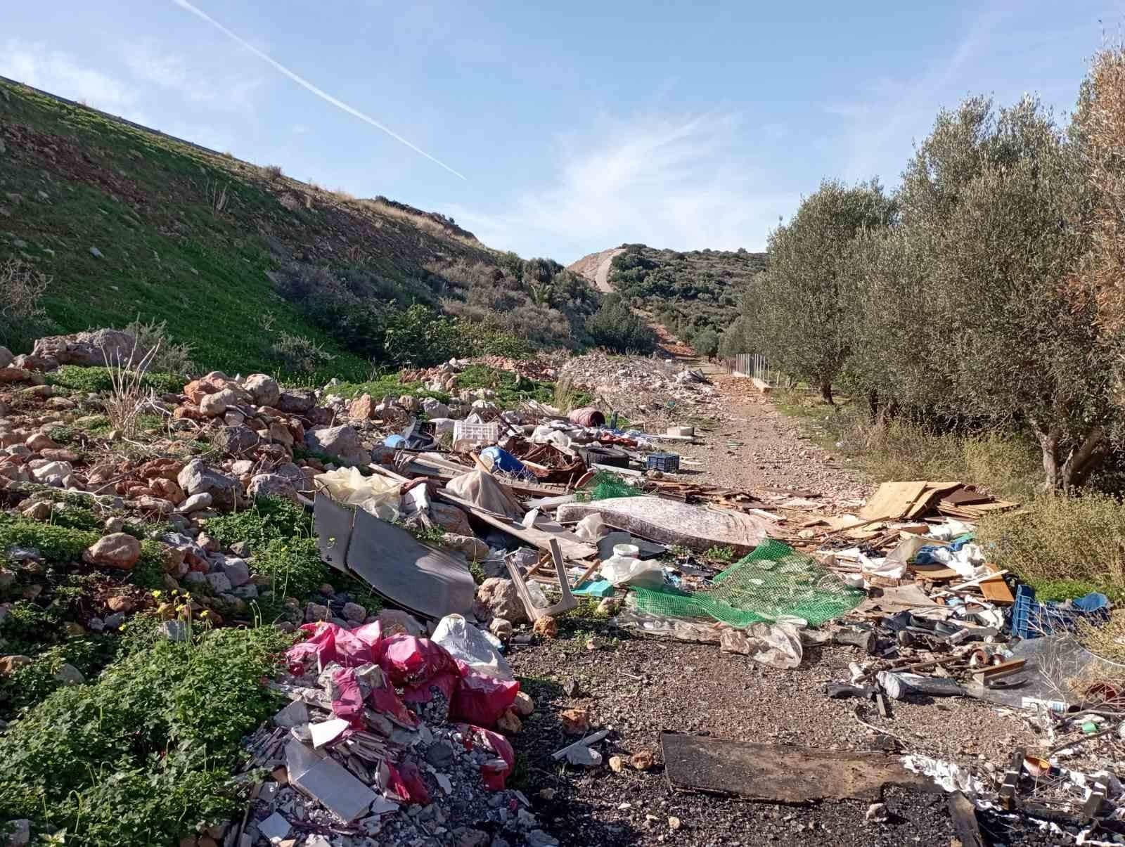 καθαρισμος Μάλια