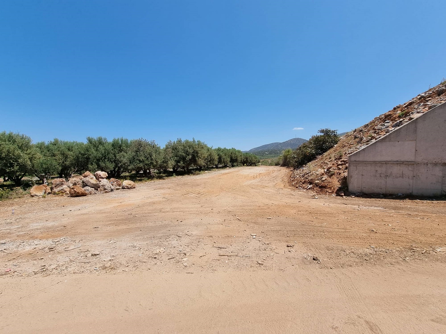 καθαρισμος Μάλια