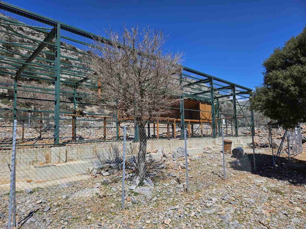 Επίσκεψη στον κλωβό φιλοξενίας και εγκλιματισμού γυπών και άλλων ειδών ορνιθοπανίδας στην θέση Αμπελάκια, στην Γέργερη Εξωτερικός