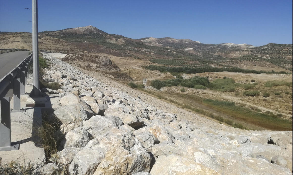 Κωνσταντίνος Κεφαλογιάννης Πλακιώτισσα