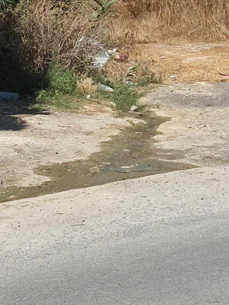 Κουμπές Μασταμπάς νερό