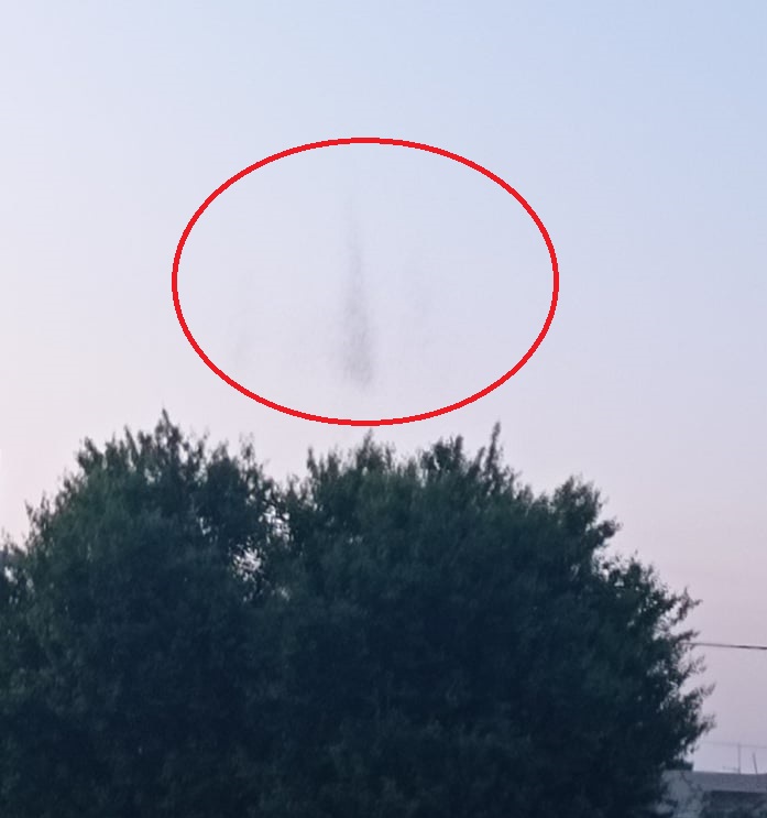 κουνούπια αη γιάννης χωστός