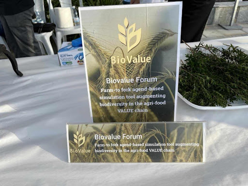 Κρητική διατροφή Λάρνακα Κύπρος