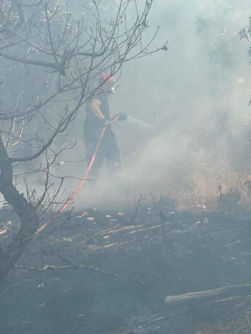 kritikoi pyrosvestes 2