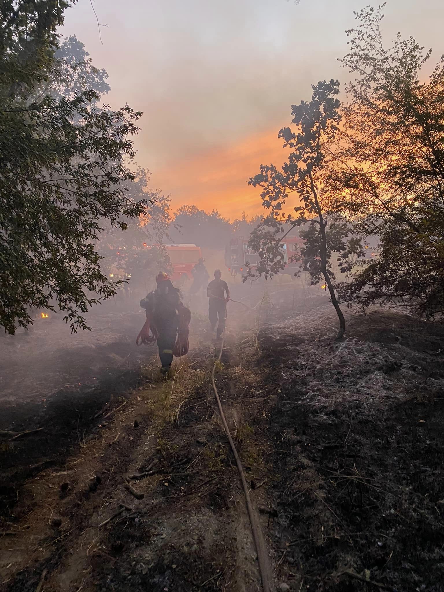 kritikoi pyrosvestes 3