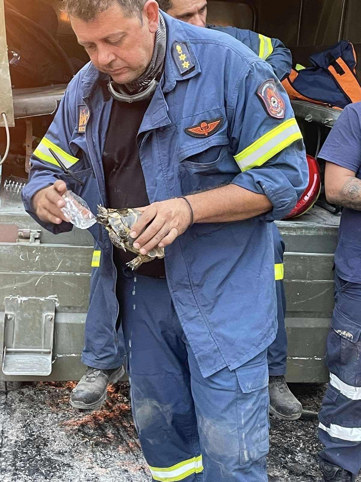 kritikoi pyrosvestes 14