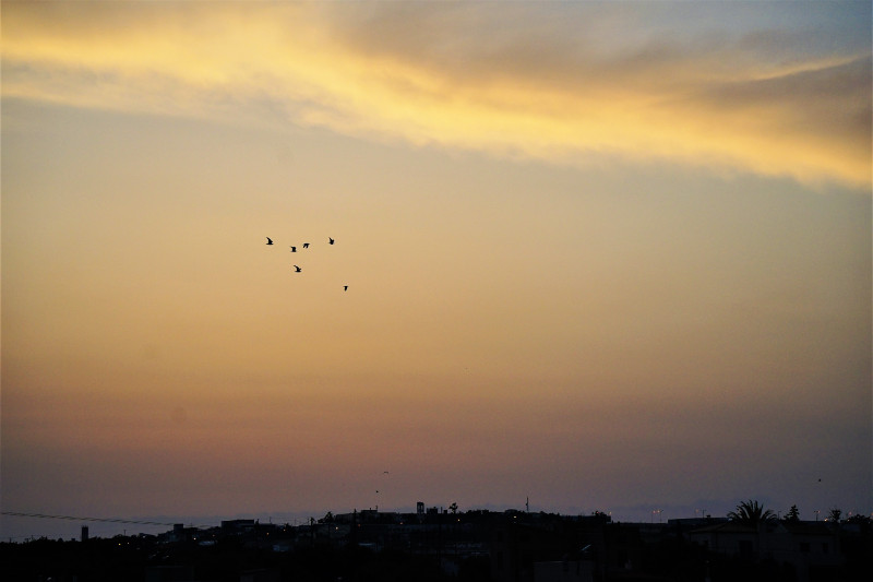 Σωτήρης Τζιγκουνάκης