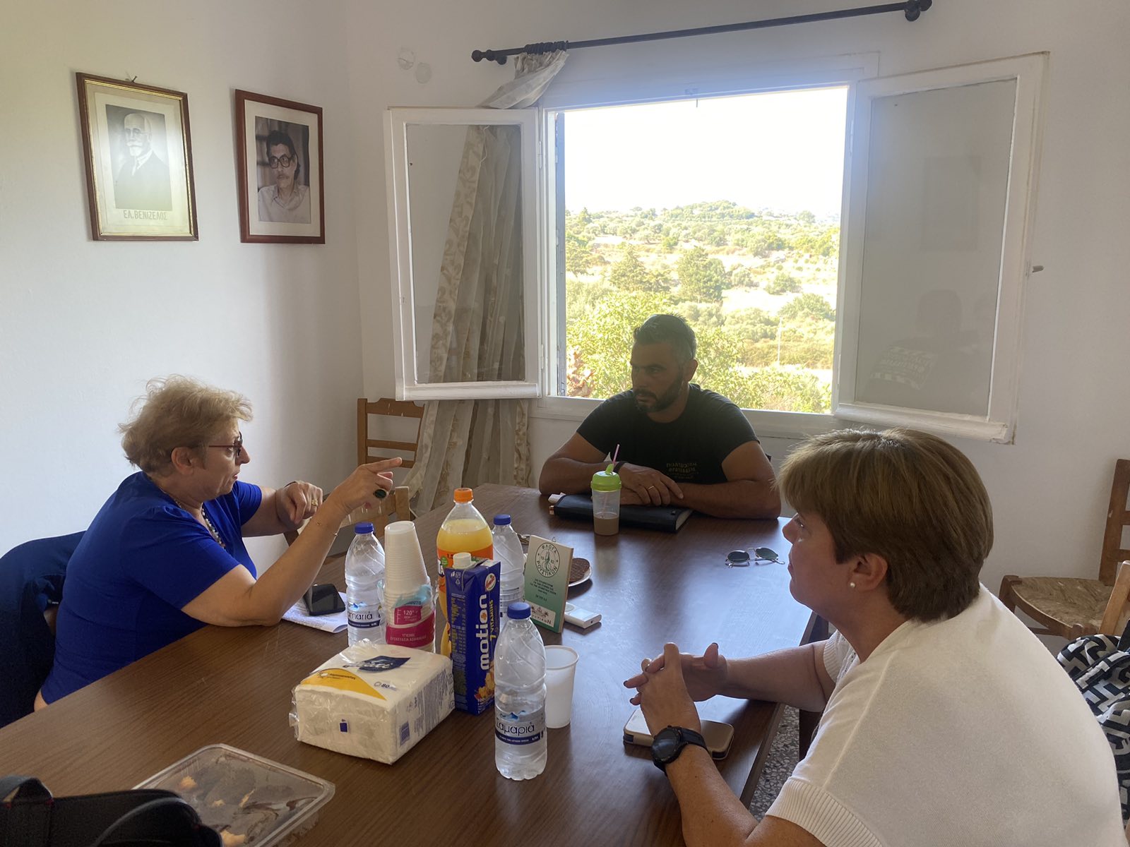 Λιονή περιοδεία