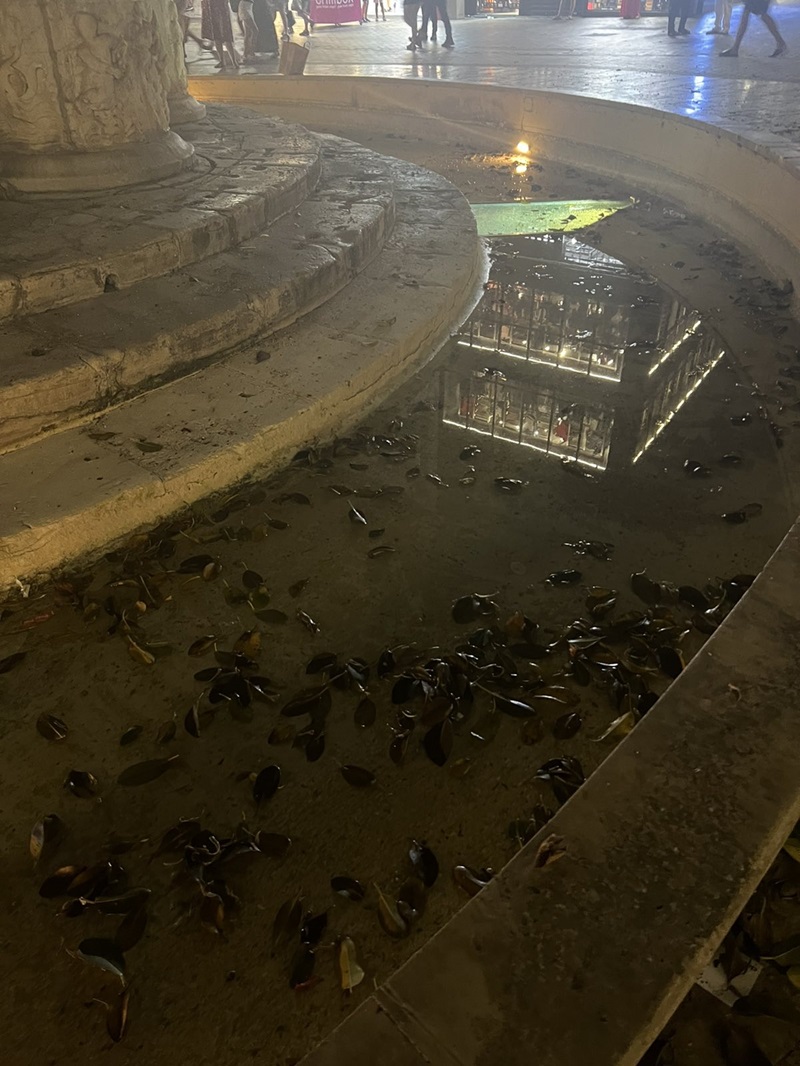 ​Στέρεψαν τα Λιοντάρια, κι από καθαριότητα... 