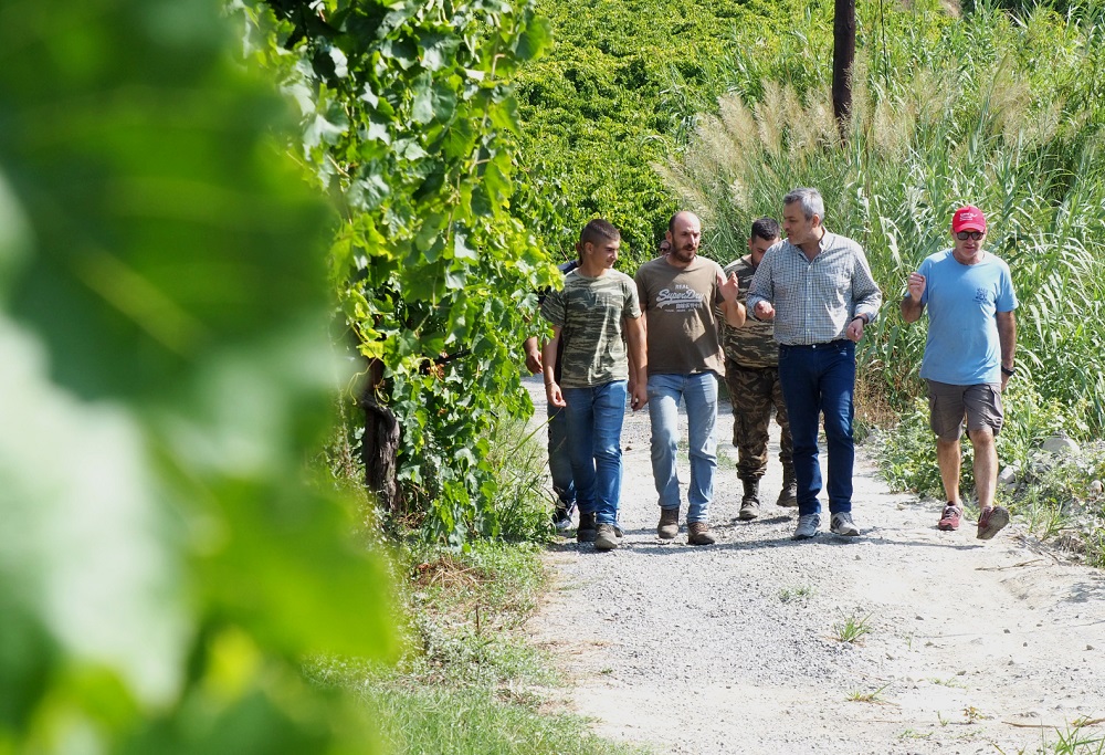 Μαμουλάκης Προφήτης Ηλίας