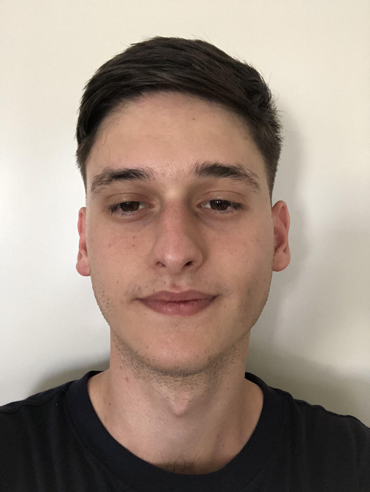 ο Δημήτρης Μαμουλάκης