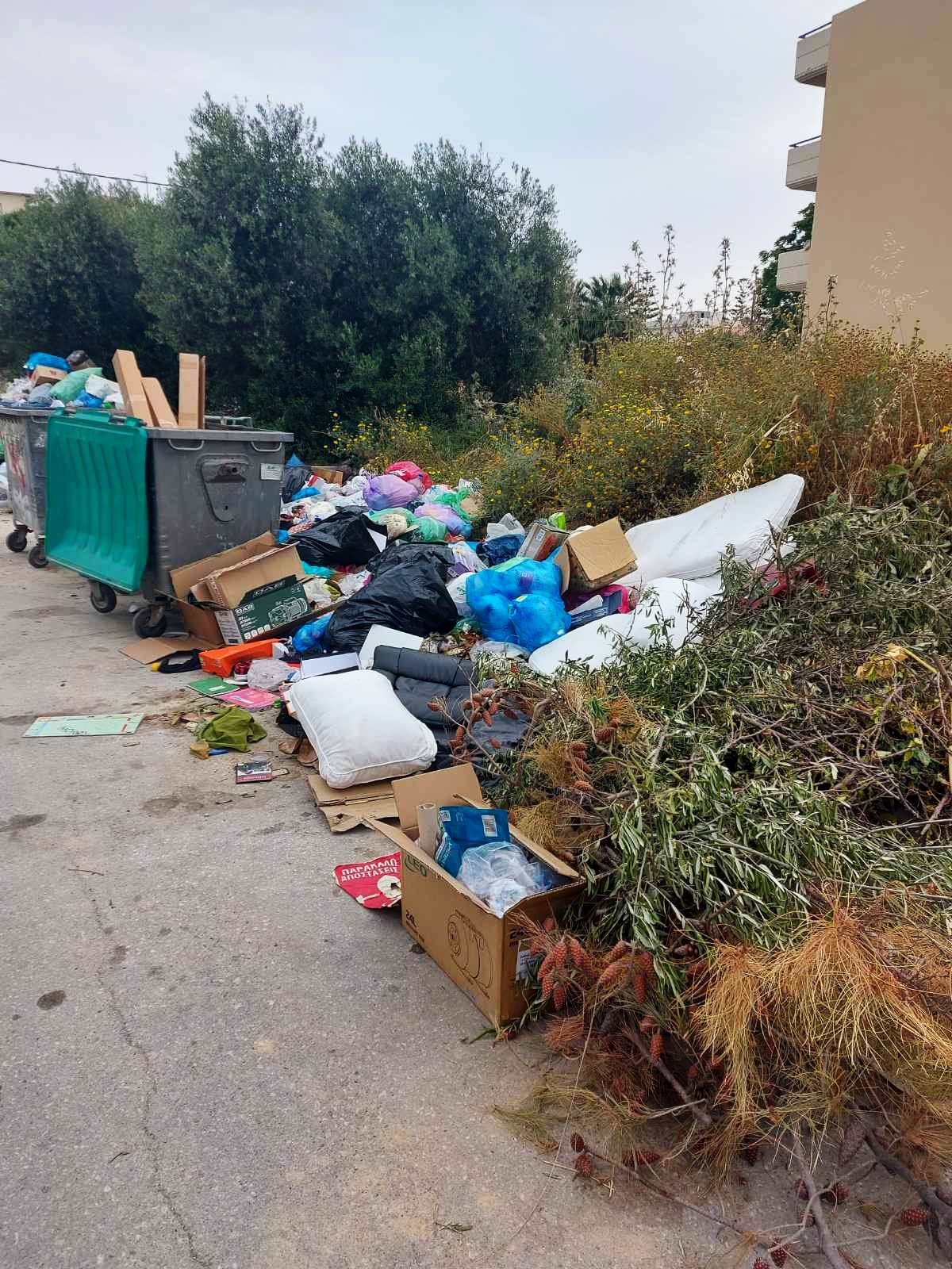 mesampelies skoupidia4