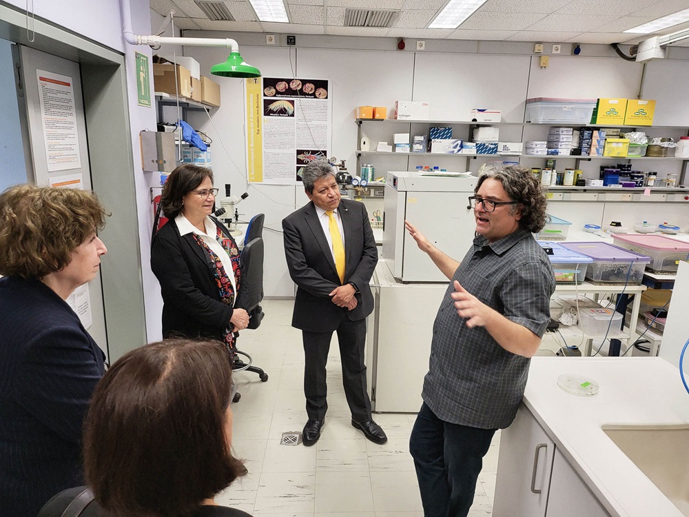 ΙΤΕ Μεξικό επιστημονική συνεργασία