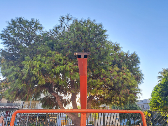 μπασκέτες σχολείο