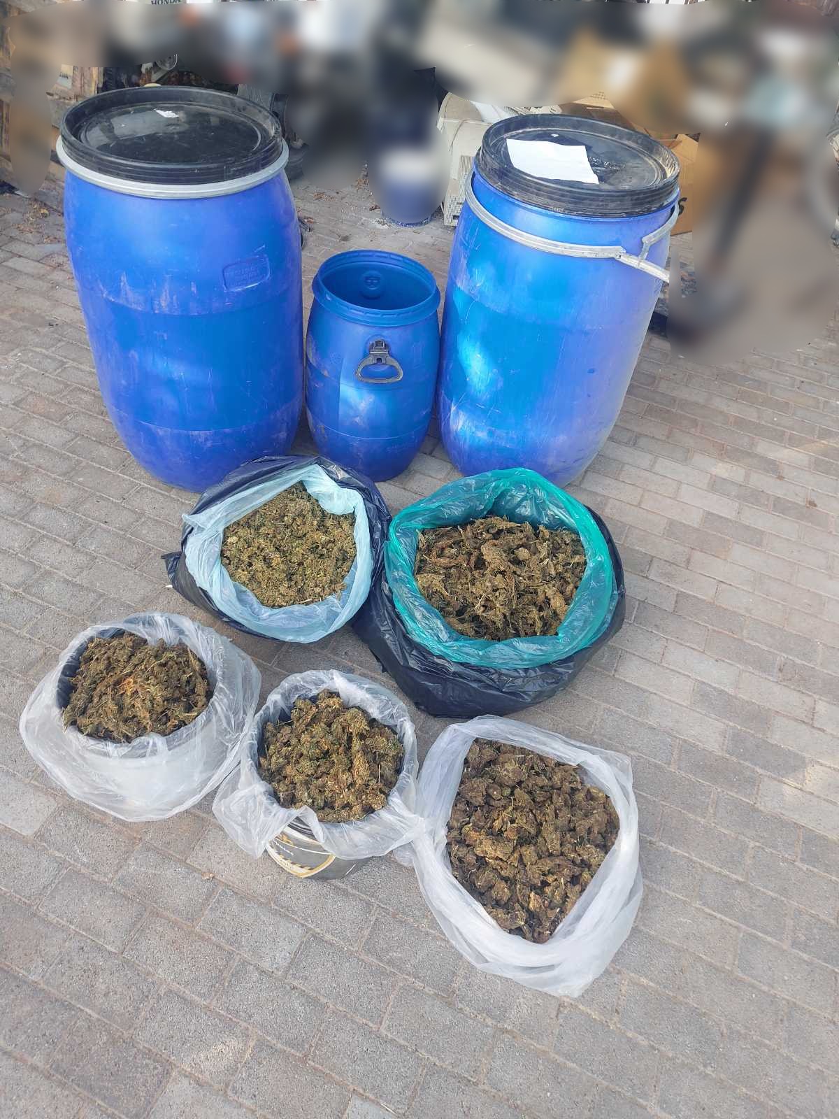 Κάνναβη Κίσσαμος