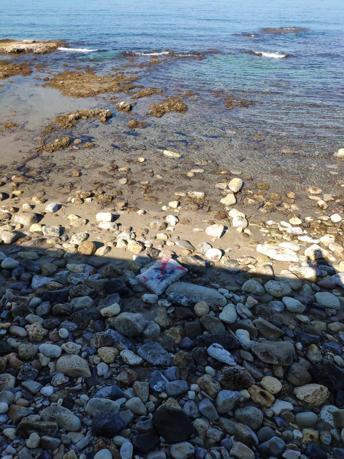 ναρκωτικά-παραλία