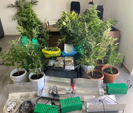 Ναρκωτικά υδροπονική