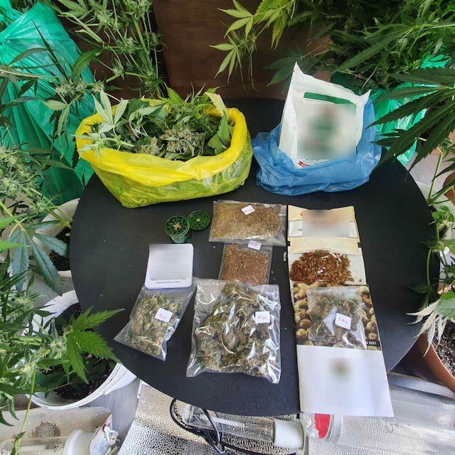 Ναρκωτικά υδροπονική