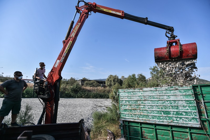 Νέες, συγκλονιστικές εικόνες από τα νεκρά ψάρια στον Βόλο