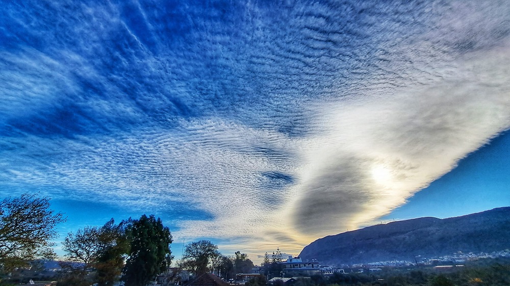 Φίλιππος Τσαγάκης Χανιά
