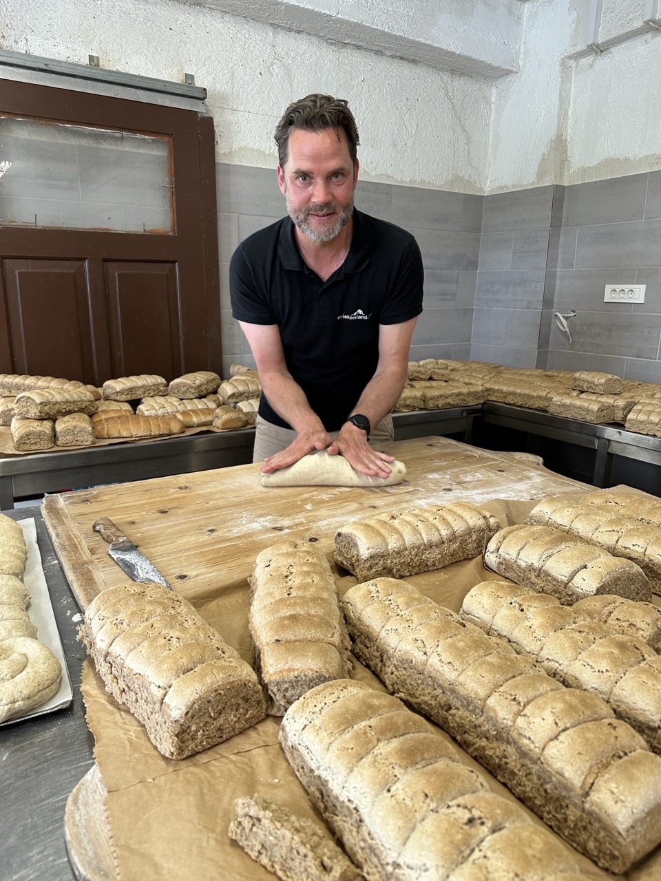 Ολλανδοί δημοσιογράφοι