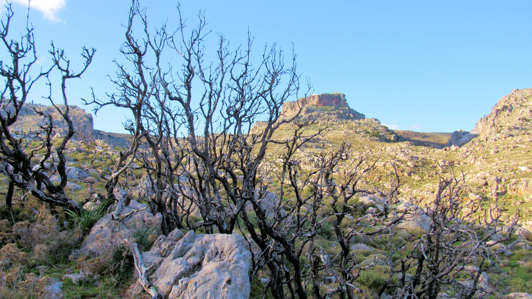 Ορειβατικός Σύλλογος Αγίου Νικολάου