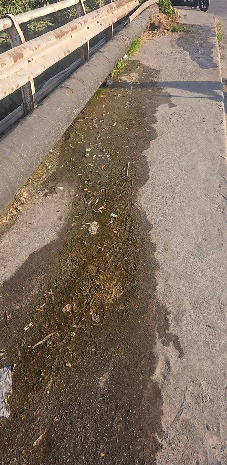 Σωλήνα Ούλαφ Πάλμε