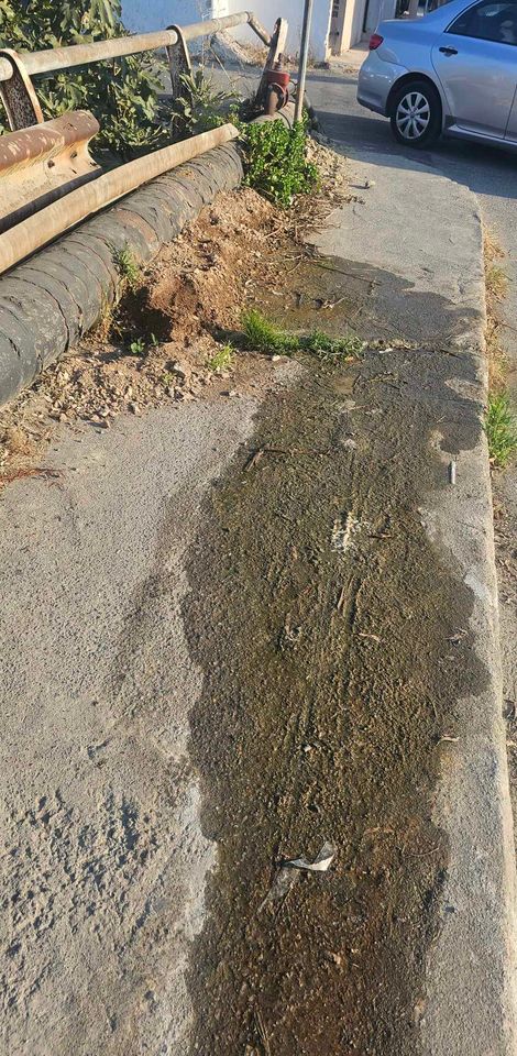 Σωλήνα Ούλαφ Πάλμε