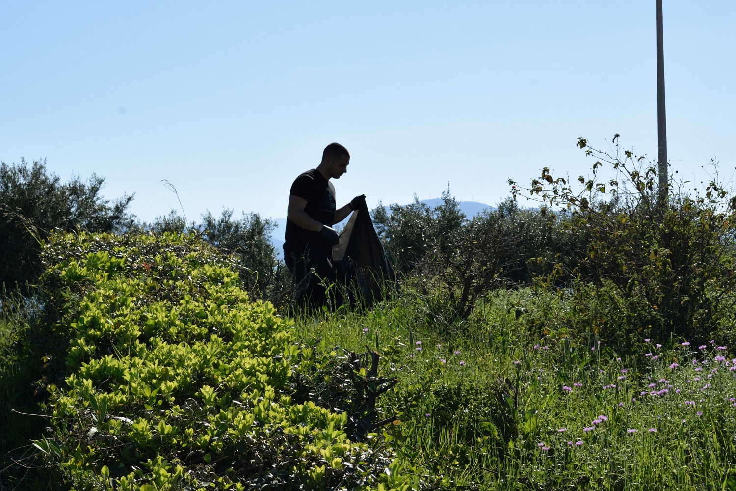 Καθαρισμός Πανεπιστήμιο Κρήτης