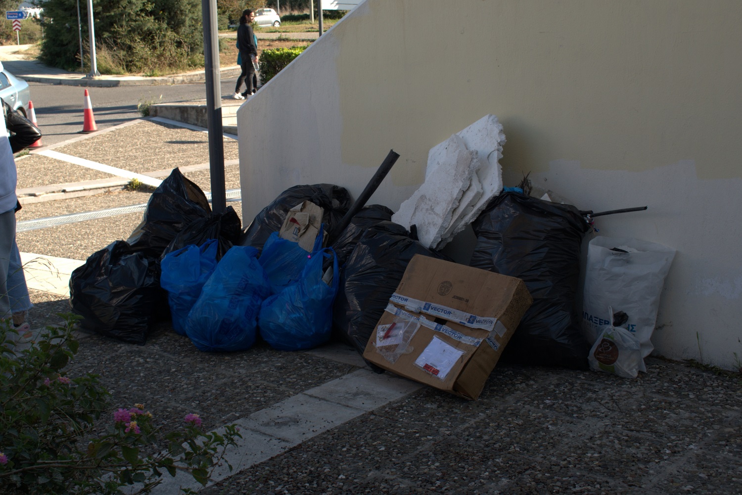 Καθαρισμός Πανεπιστήμιο Κρήτης