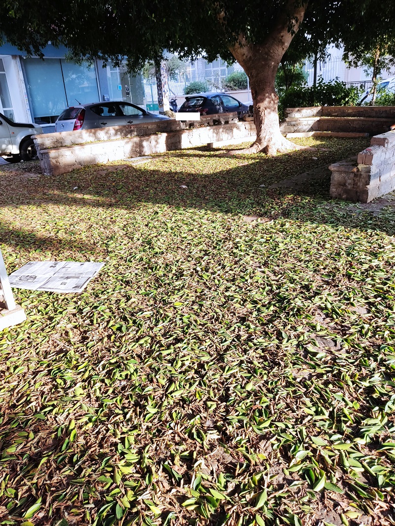 Πάρκο Πόρος