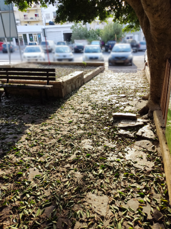 Πάρκο Πόρος