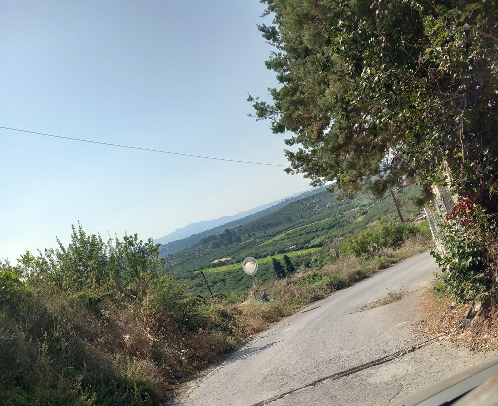 Πατσίδες έργο